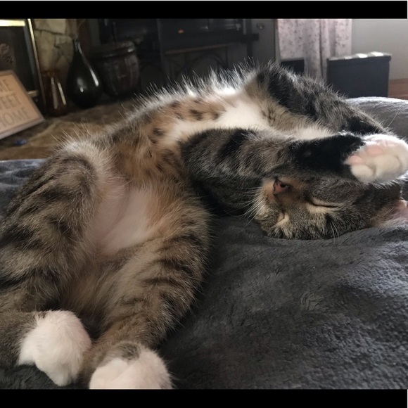 Meet your Posher, Kathy - Picture 4 of 4